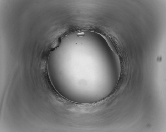 X0000091300033200708101317