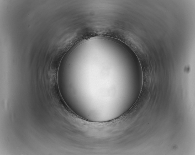 X0000091300034200708101317