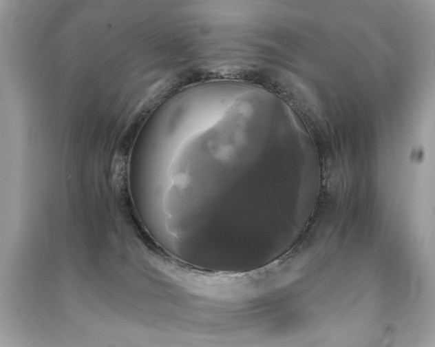 X0000091300036200708101317