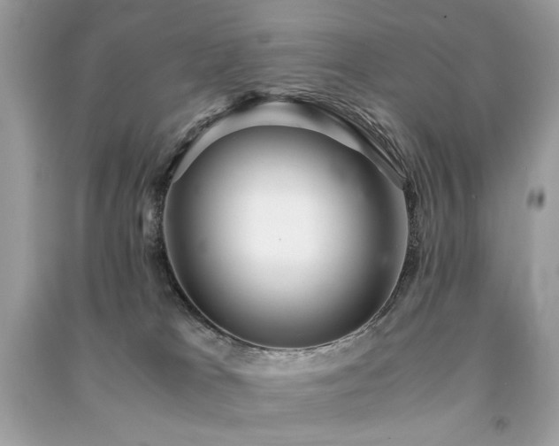 X0000091300037200708101317