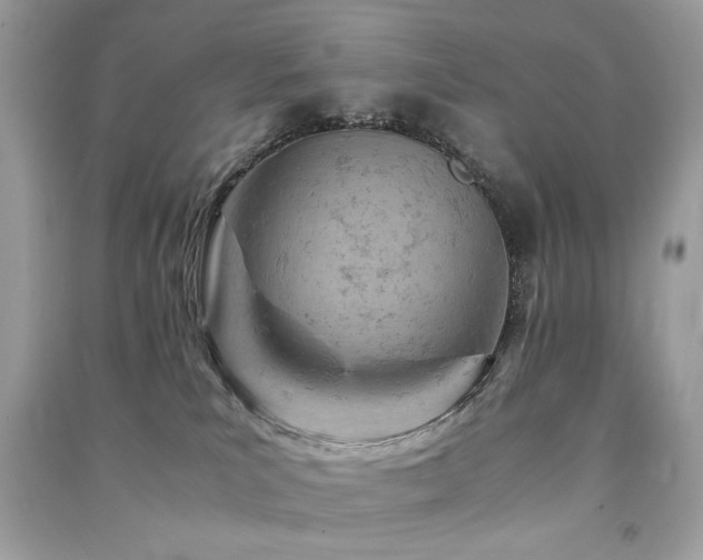 X0000091300039200708101317