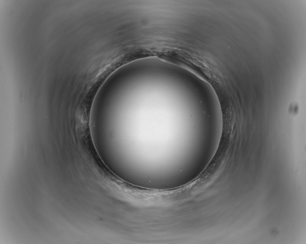 X0000091300040200708101317