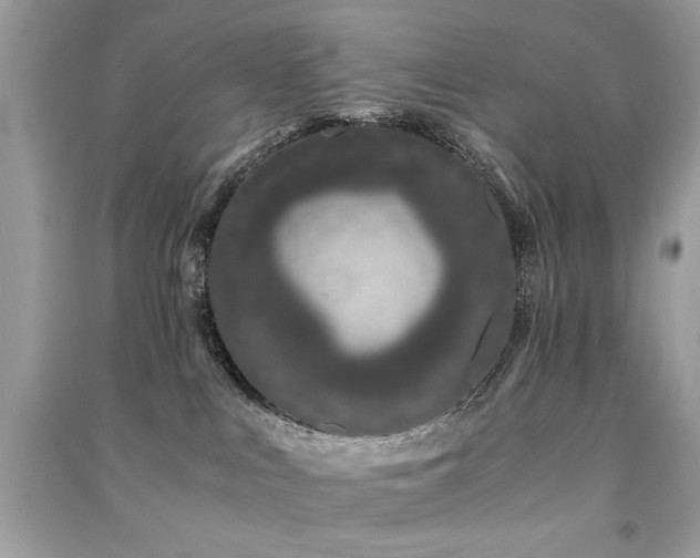 X0000091300043200708101317