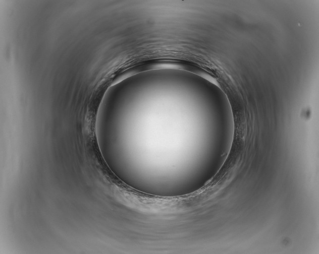 X0000091300044200708101317