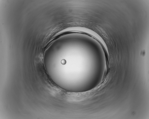 X0000091300045200708101317