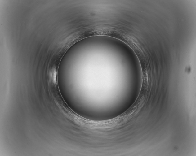 X0000091300046200708101317