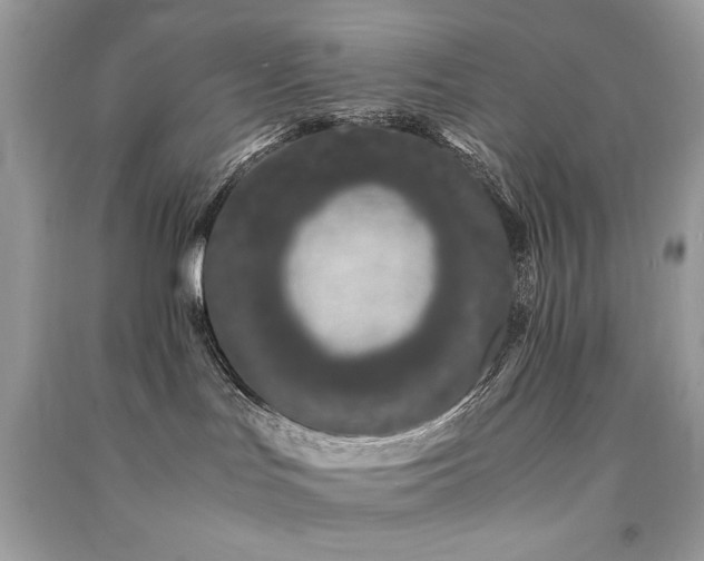 X0000091300047200708101317