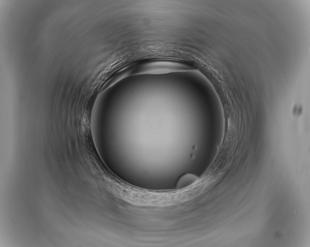 X0000091300048200708101317