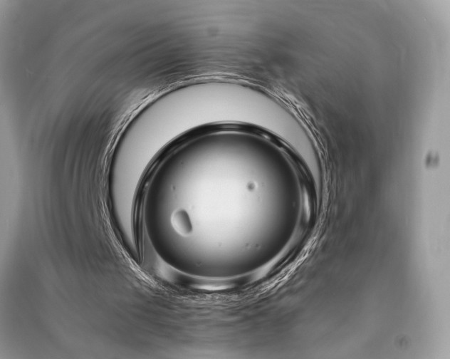 X0000091300049200708101317