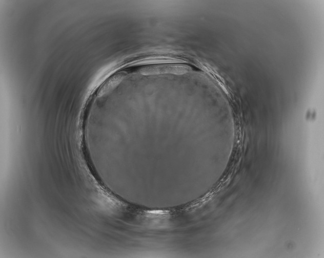 X0000091300053200708101317