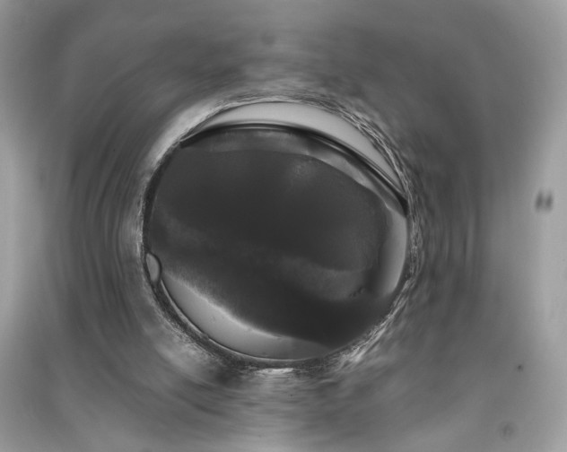 X0000091300054200708101317