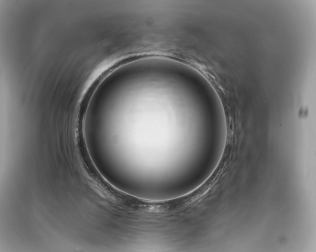 X0000091300056200708101317