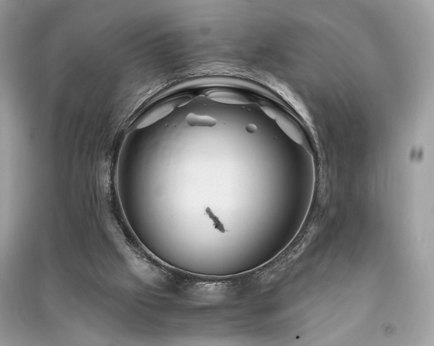 X0000091300057200708101317