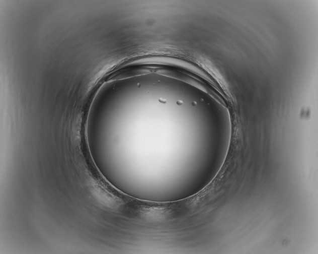 X0000091300058200708101317