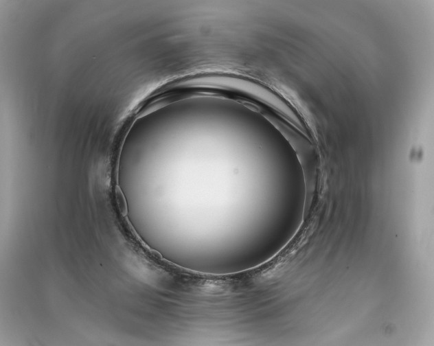 X0000091300060200708101317