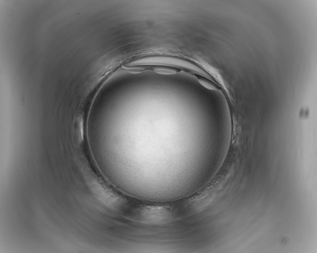 X0000091300061200708101317