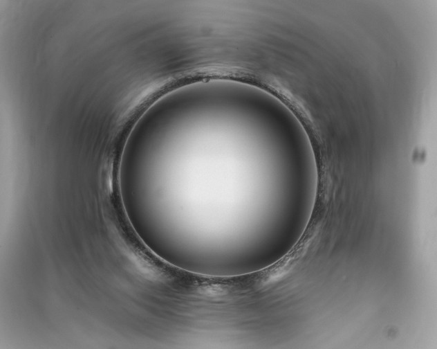 X0000091300062200708101317