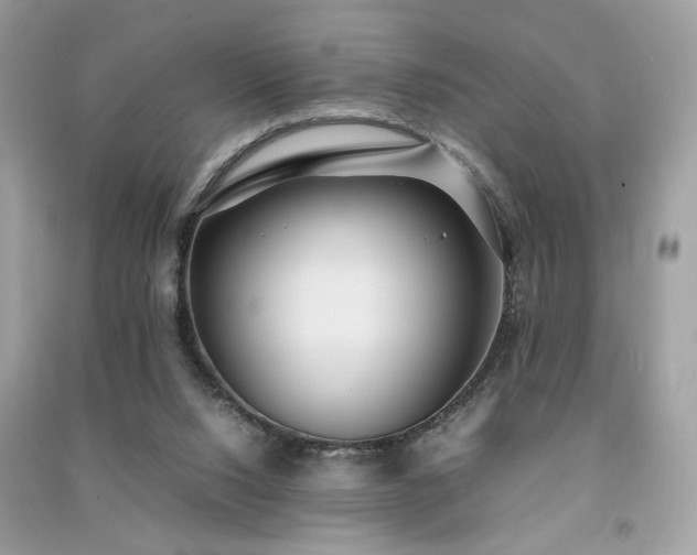 X0000091300064200708101317