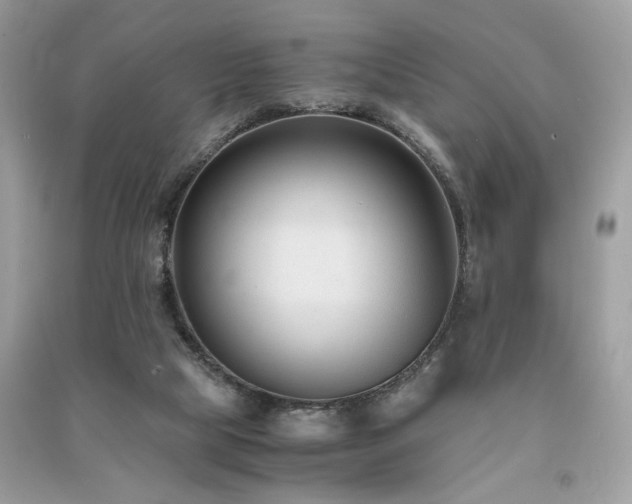 X0000091300065200708101317