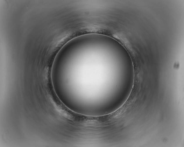 X0000091300066200708101317