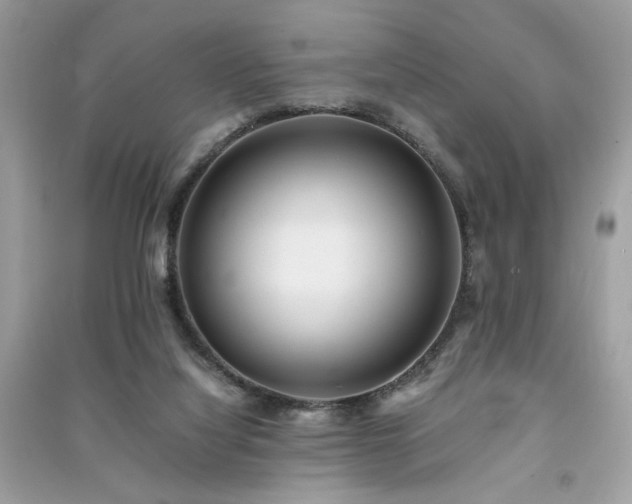 X0000091300068200708101317