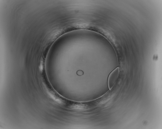 X0000091300069200708101317