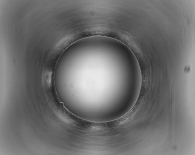 X0000091300070200708101317