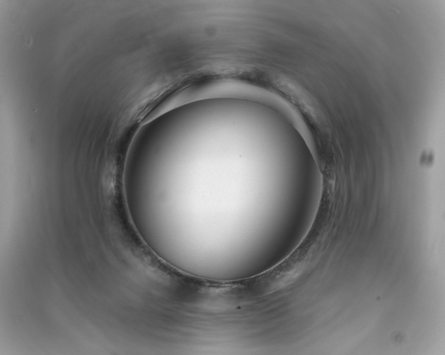 X0000091300072200708101317