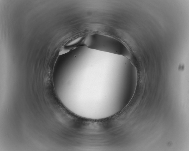 X0000091300073200708101317