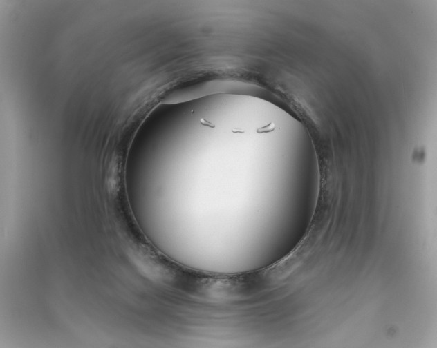 X0000091300074200708101317