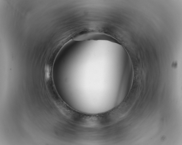 X0000091300075200708101317