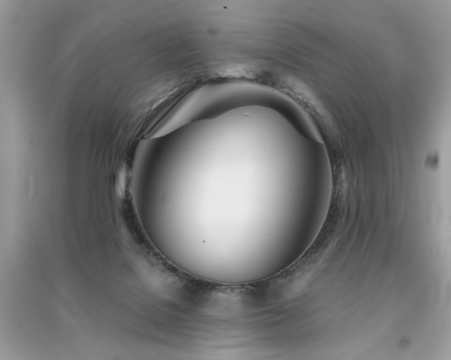 X0000091300076200708101317