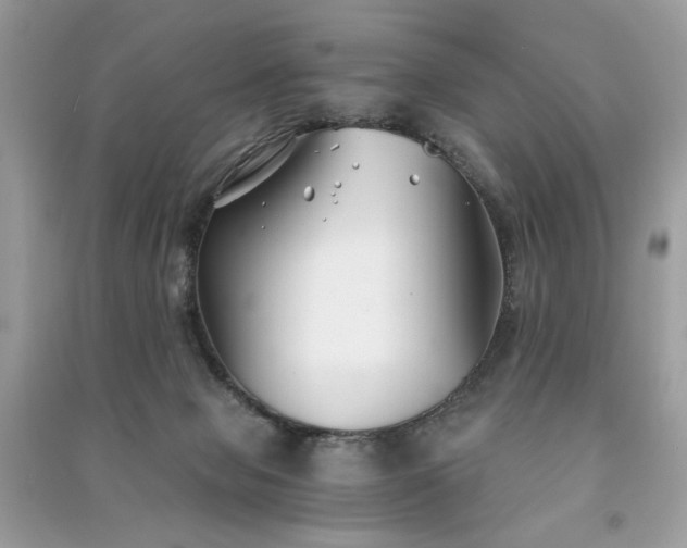 X0000091300077200708101317