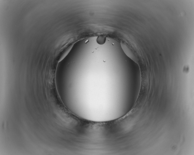 X0000091300078200708101317