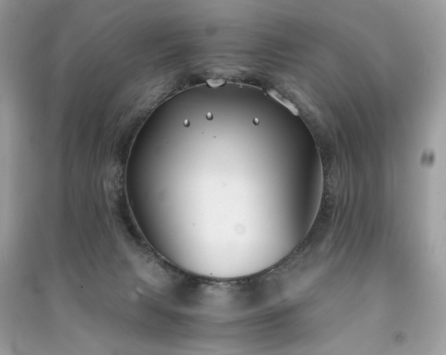 X0000091300079200708101317