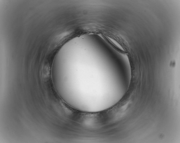 X0000091300081200708101317