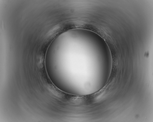 X0000091300082200708101317