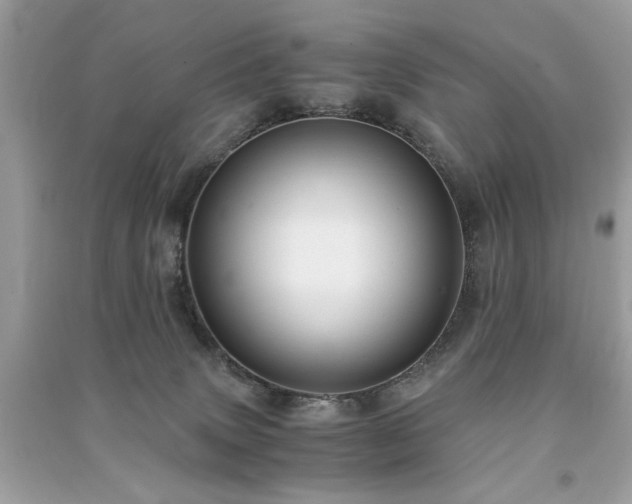 X0000091300083200708101317