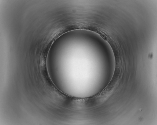 X0000091300084200708101317