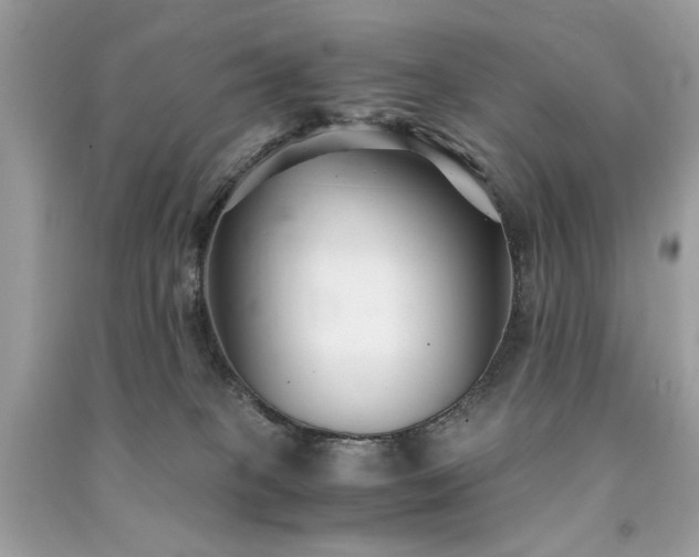 X0000091300085200708101317