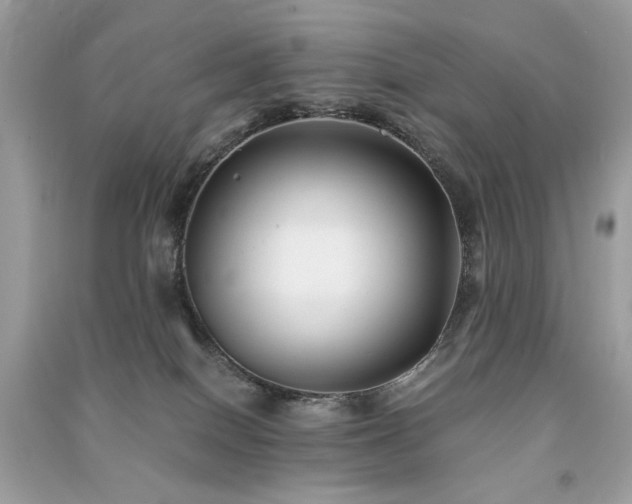 X0000091300086200708101317