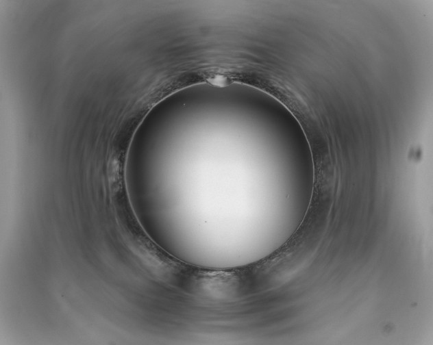 X0000091300087200708101317