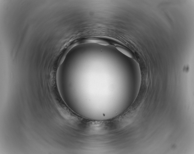 X0000091300088200708101317