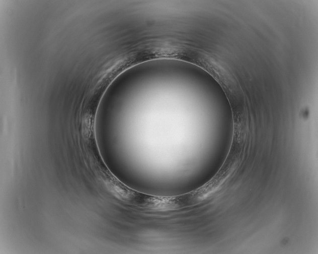 X0000091300093200708101317