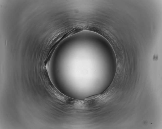 X0000091300096200708101317