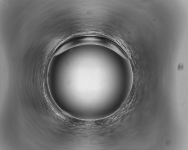 X0000091300097200708101316