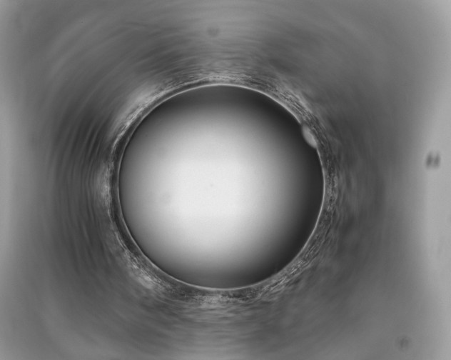 X0000091300098200708101316