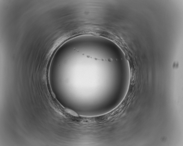 X0000091300099200708101316