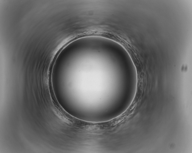 X0000091300100200708101316