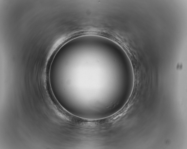 X0000091300102200708101316